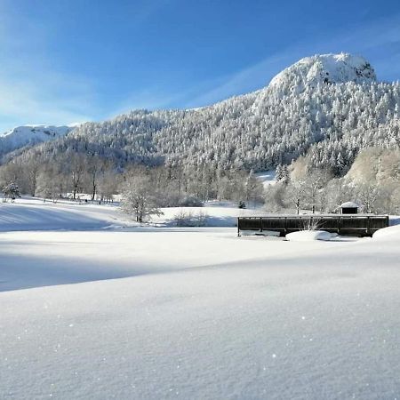 Chalet Des Cascades Ле-Мон-Дор Экстерьер фото