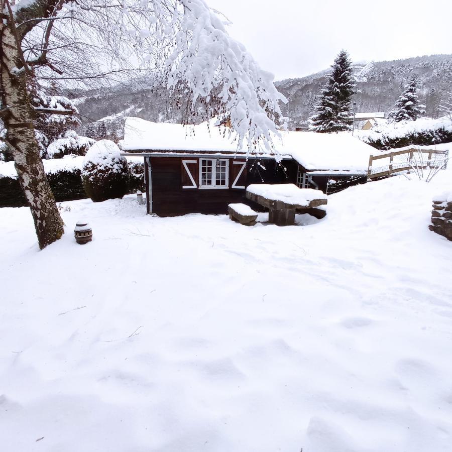 Chalet Des Cascades Ле-Мон-Дор Экстерьер фото