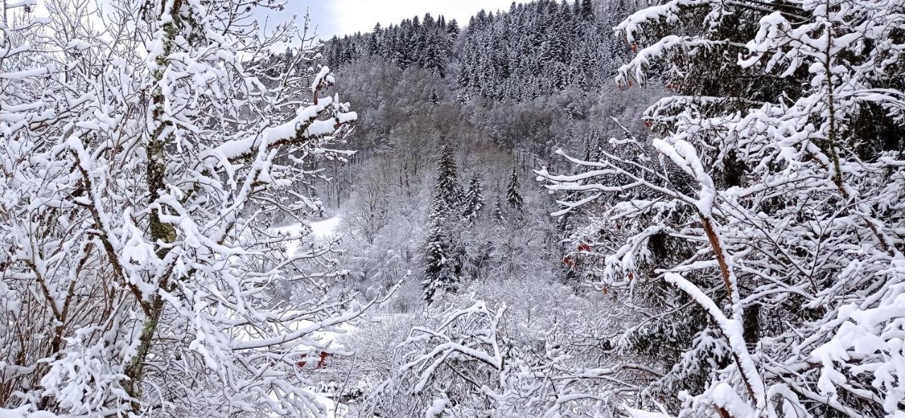 Chalet Des Cascades Ле-Мон-Дор Экстерьер фото