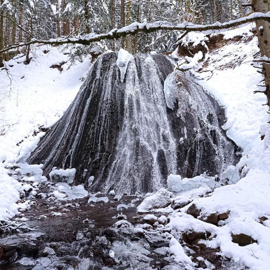 Chalet Des Cascades Ле-Мон-Дор Экстерьер фото